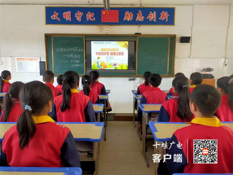 微信图片_20231102114146_副本