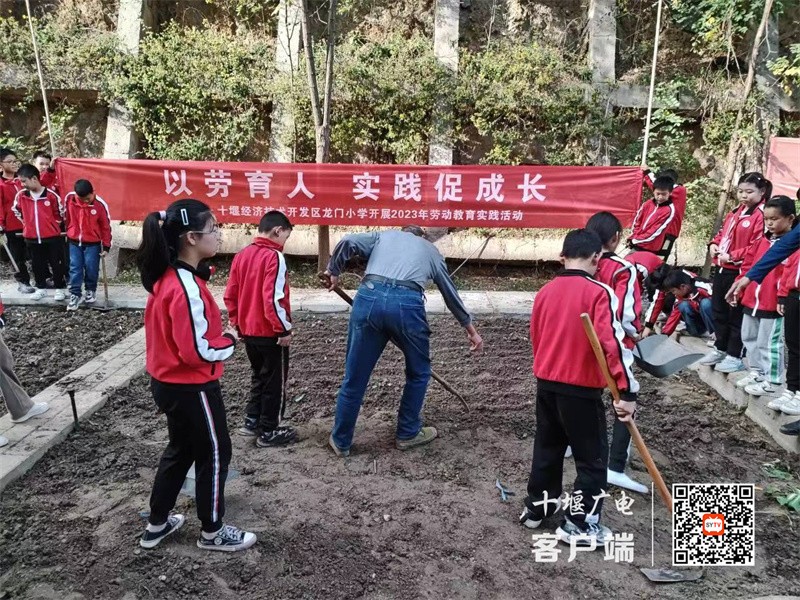 微信图片_20231102174214_副本