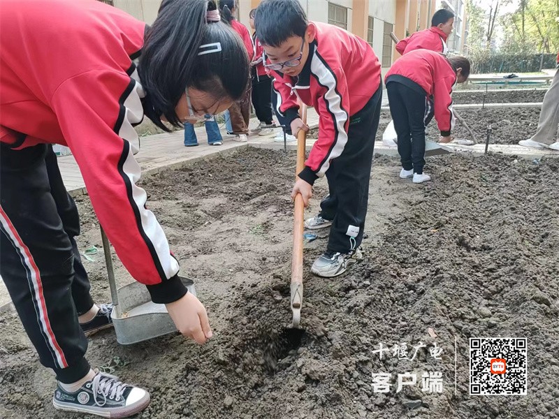 微信图片_20231102174222_副本