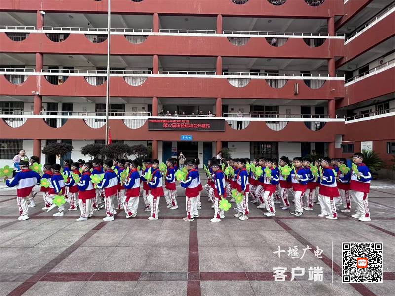 61a1e2bc0d8293f43bb050f7aa37295