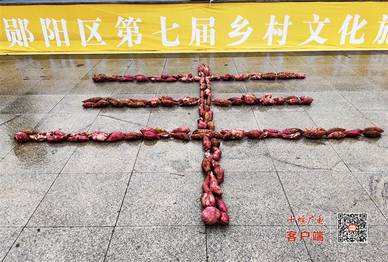 微信图片_20231105191243