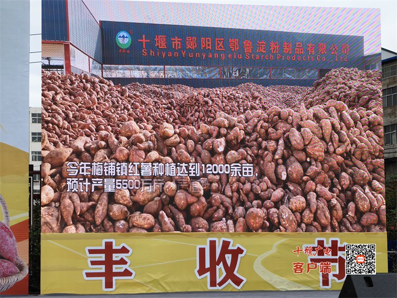 微信图片_20231105191301