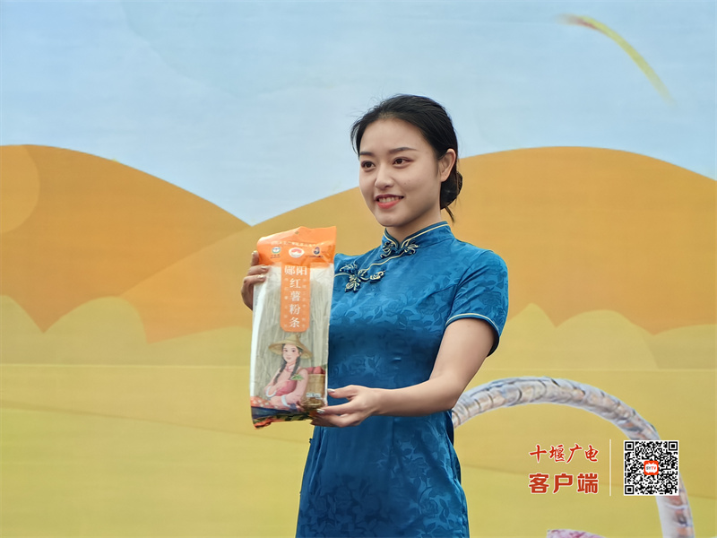 微信图片_20231105191319