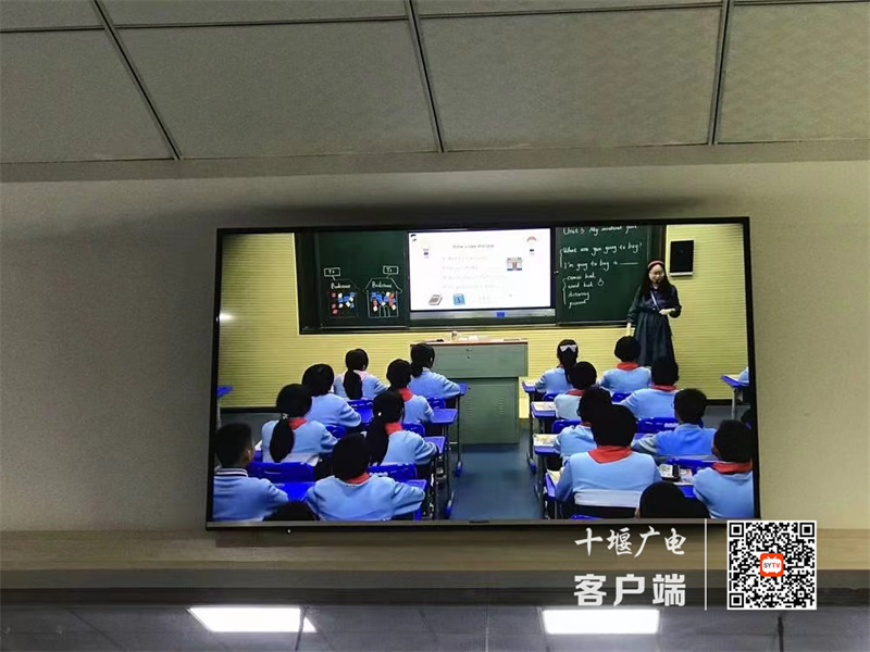 微信图片_20231106171546_副本