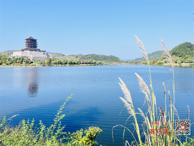图片 7