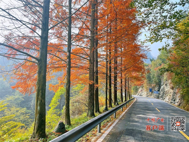 微信图片_20231109110207