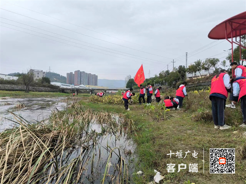 微信图片_20231111004302_副本