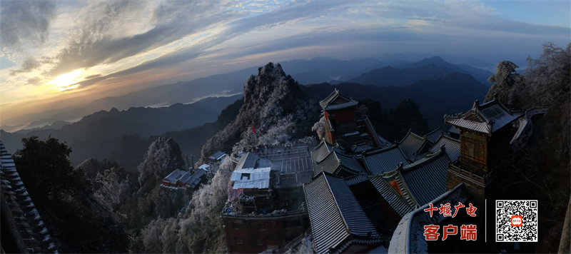 微信图片_20231112082619