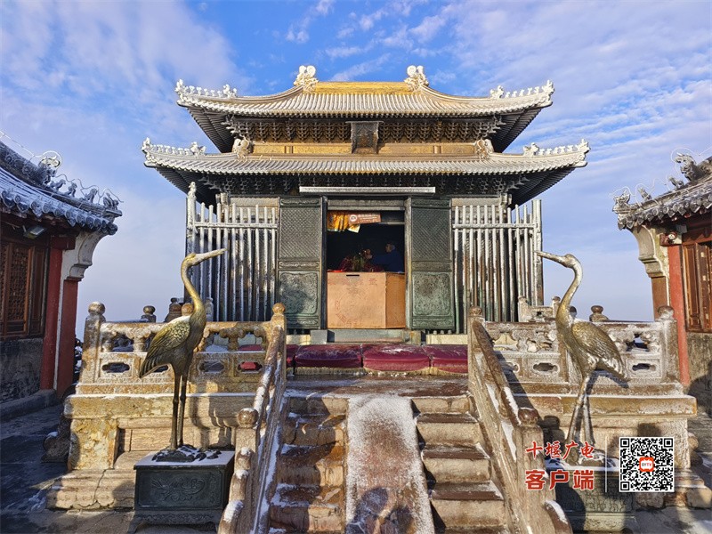 微信图片_20231112082646