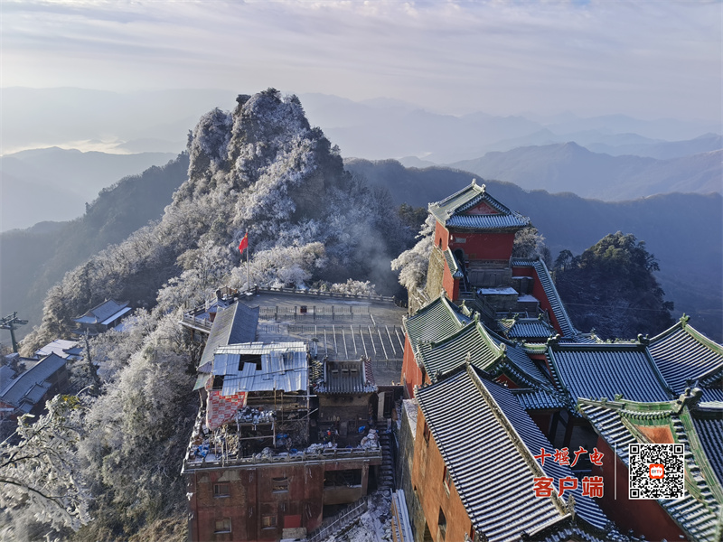 微信图片_20231112082638