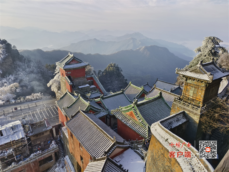 微信图片_20231112082634