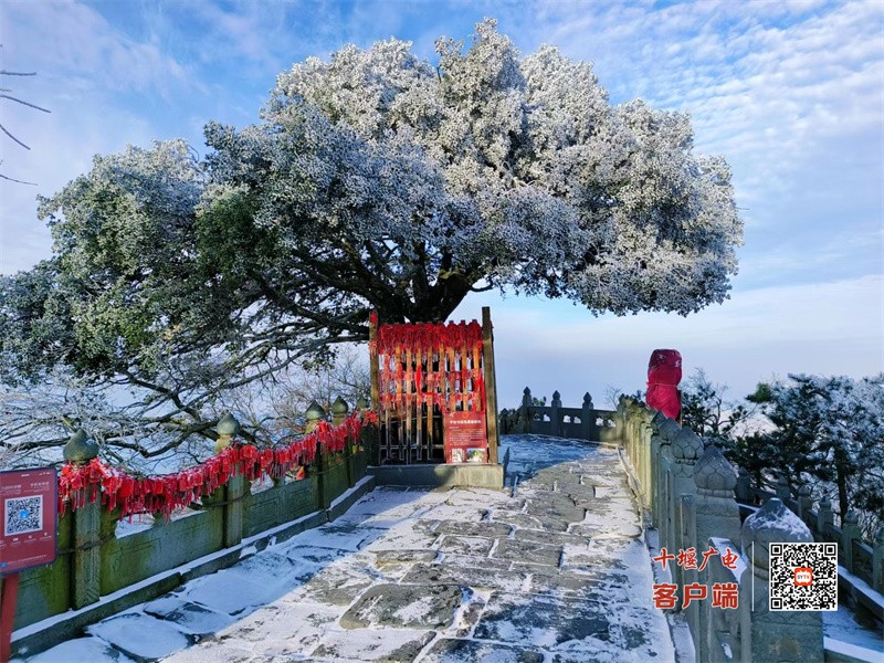 微信图片_20231112083335