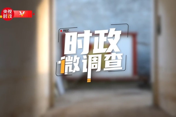 时政微调查丨刁窝的重建