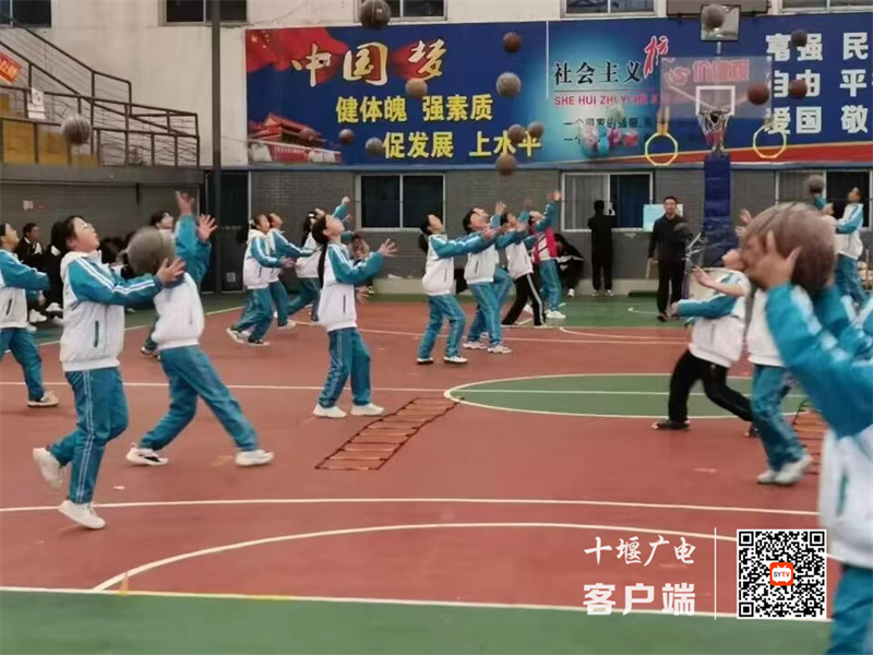 微信图片_20231113100634_副本