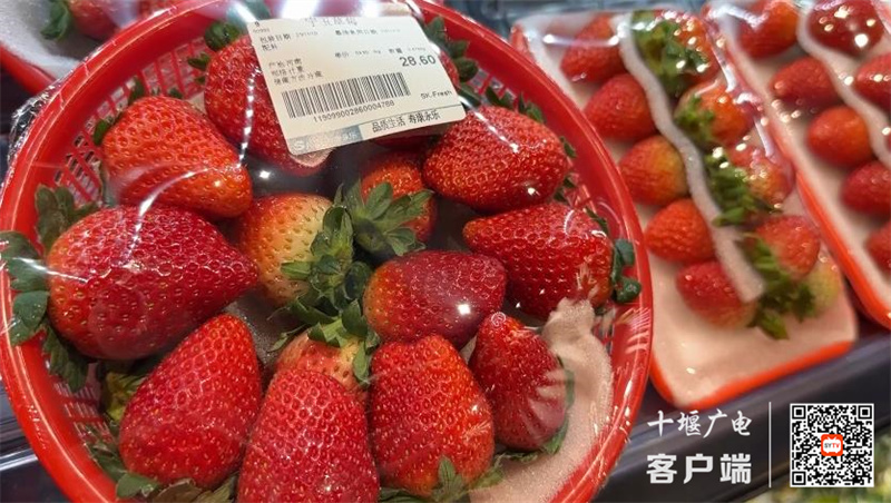 360截图20231113160040646_副本