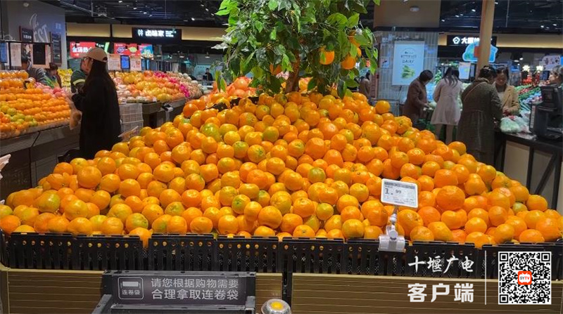 360截图20231113162808614_副本