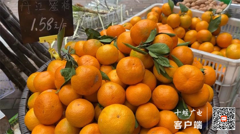 360截图20231113163010094_副本