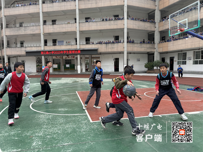 微信图片_20231113223152_副本