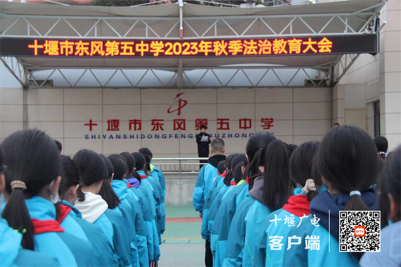 微信图片_20231114155151_副本