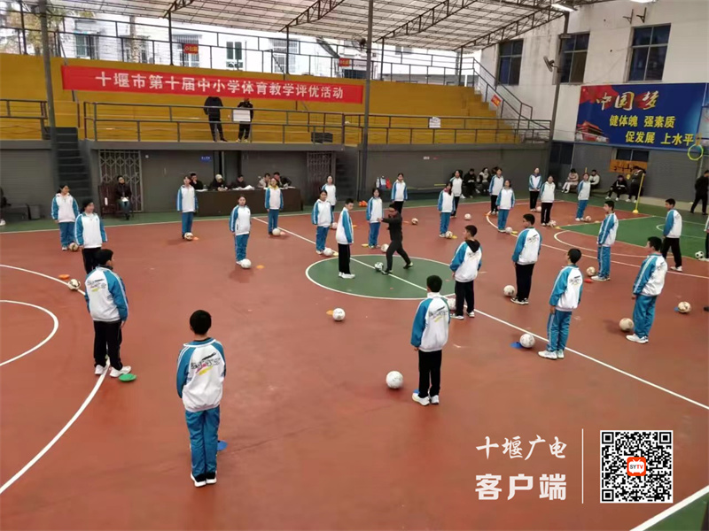 微信图片_20231115100928_副本