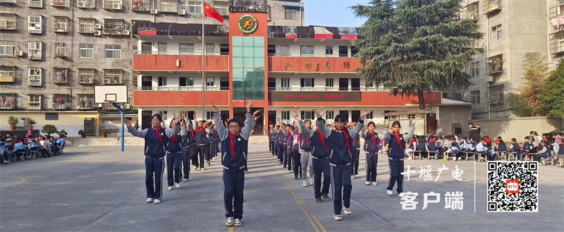 微信图片_20231115101351_副本
