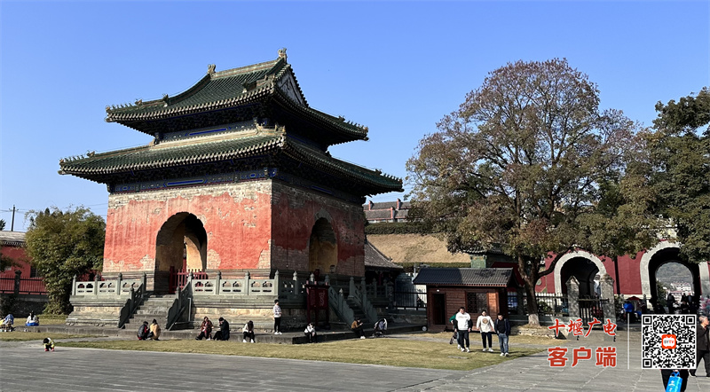 微信图片编辑_20231115114447