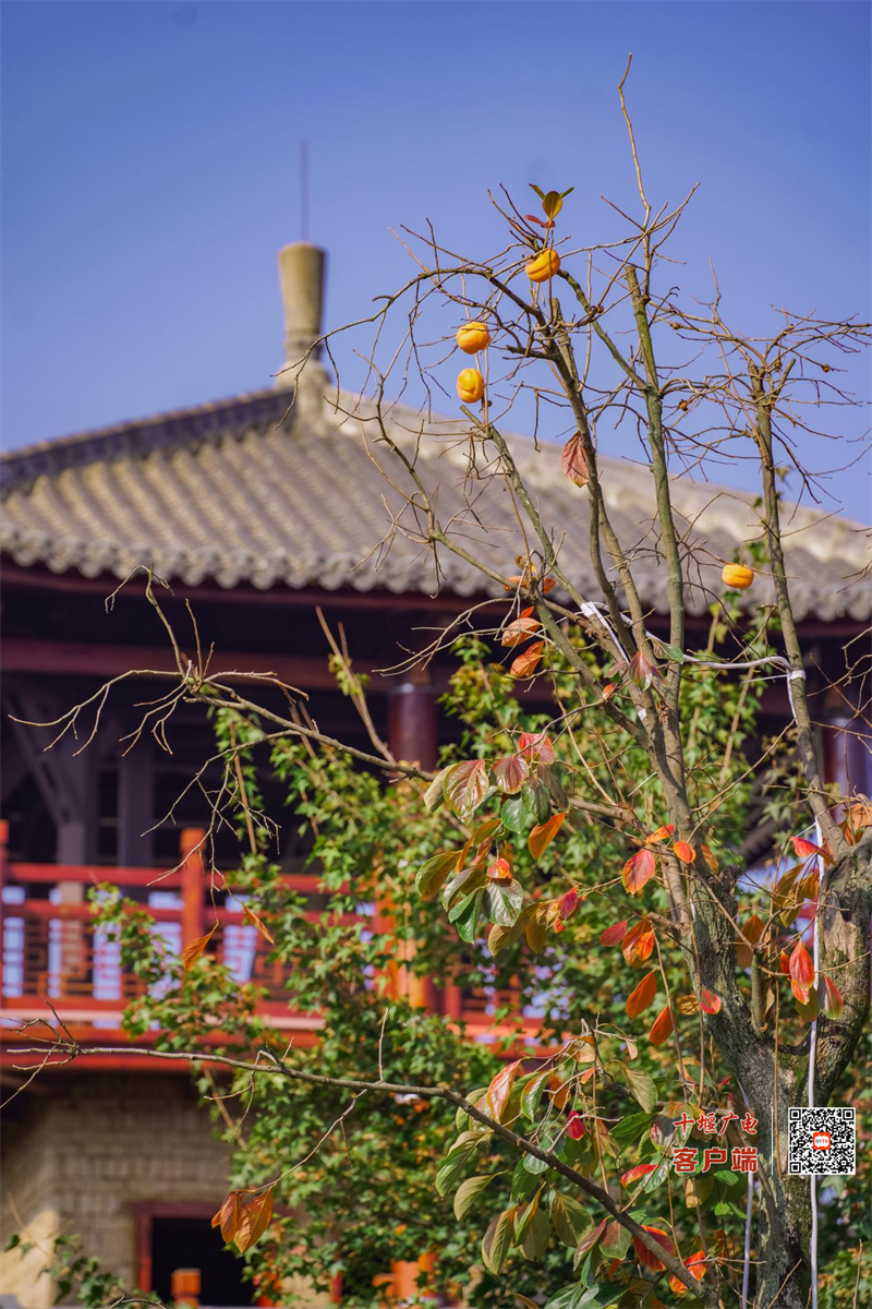 图片 11