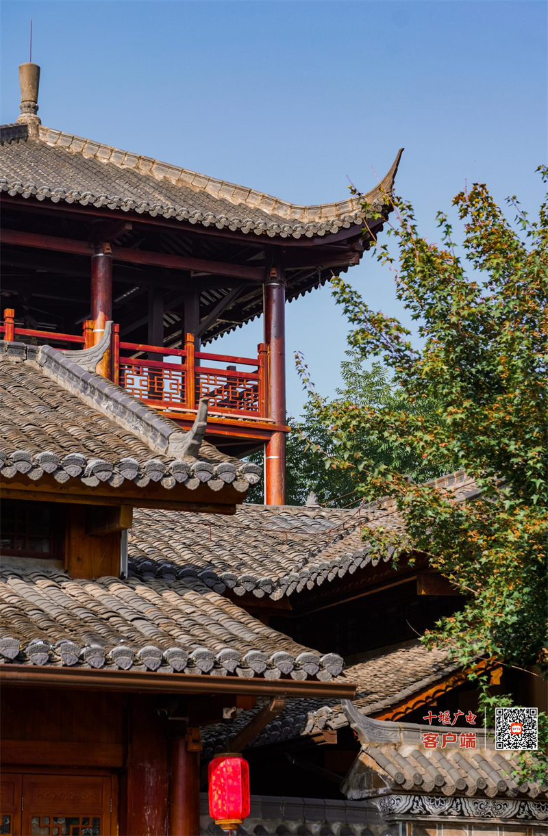 图片 10