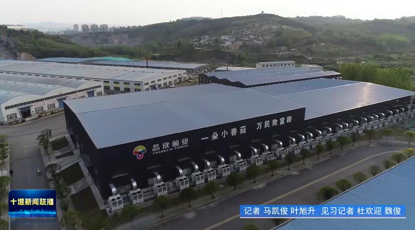 360截图20231116190423849