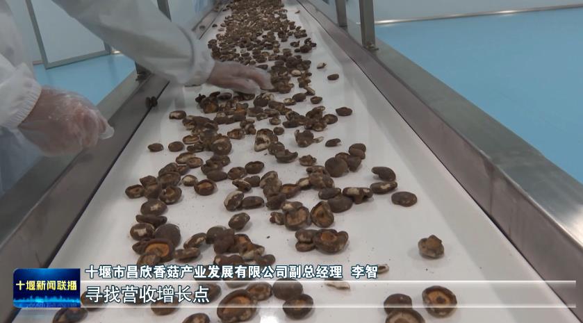 360截图20231116190504843