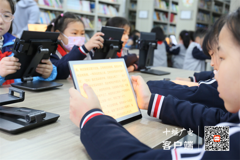 微信图片_20231117101151_副本