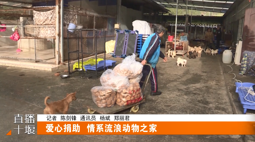 QQ图片20231117165249
