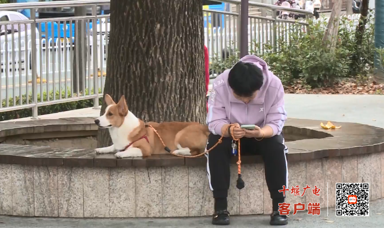 QQ图片20231117165443