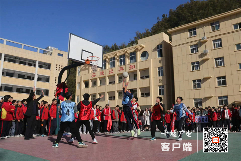 微信图片_20231118222957_副本