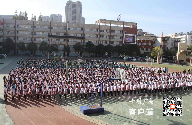 微信图片_20231119143423_副本