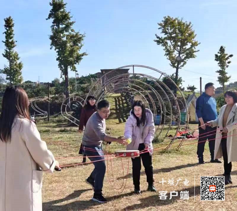 微信图片_20231119213705_副本