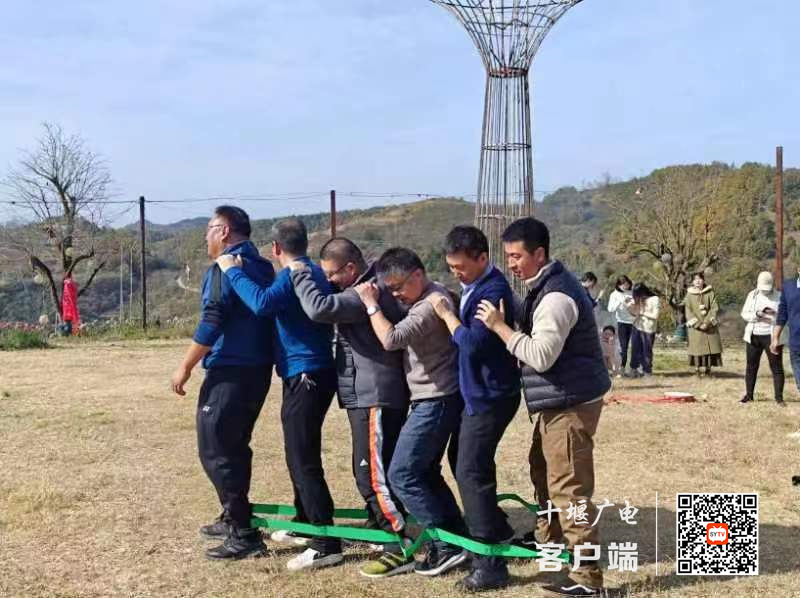 微信图片_20231119213708_副本
