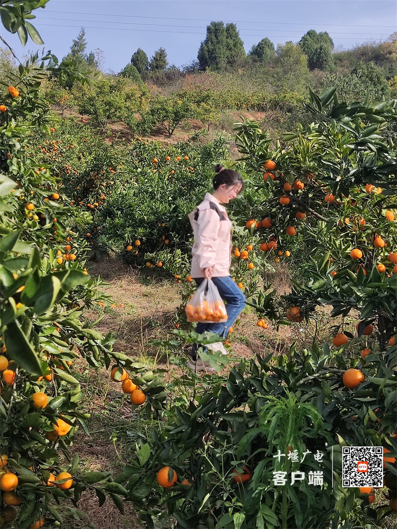 QQ图片20231120090106_副本