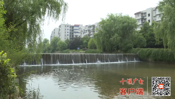 ygD+N9+4kp5FlVQuAAAAAElFTkSuQmCC_副本