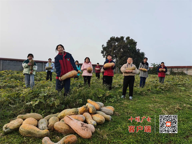 微信图片_20231120221949