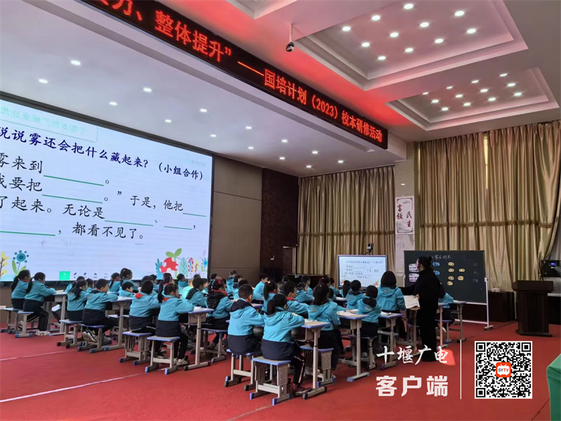 微信图片_20231122085716_副本