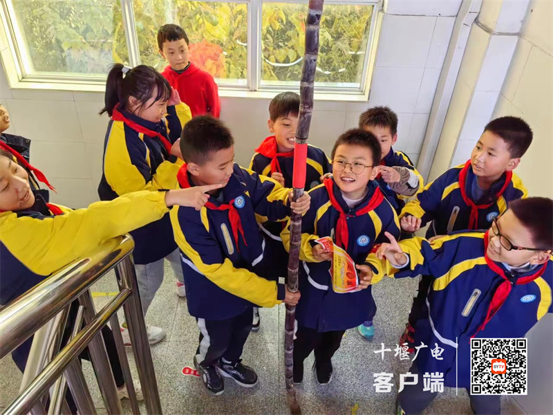 微信图片_20231122163852_副本