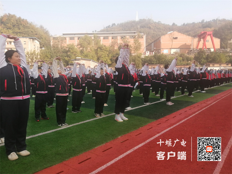 微信图片_20231122164724_副本