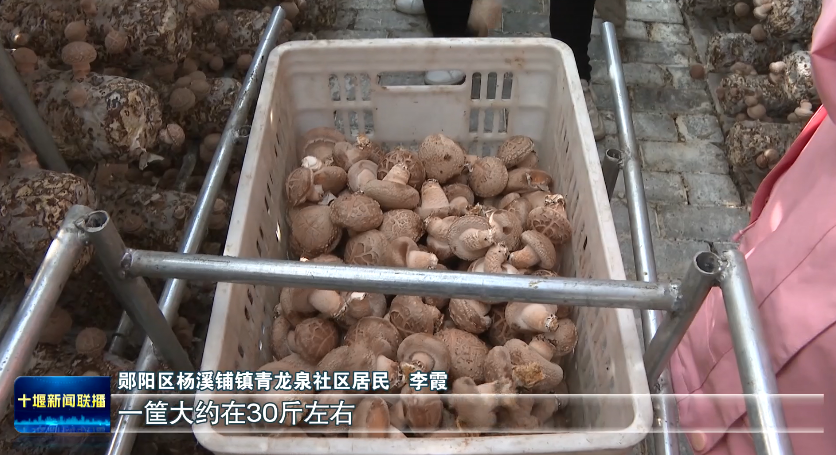 QQ图片20231122190150