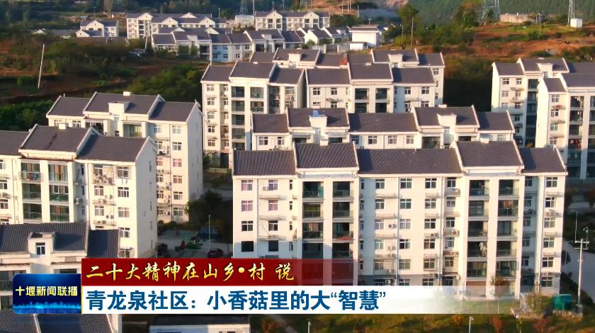 360截图20231122191224959