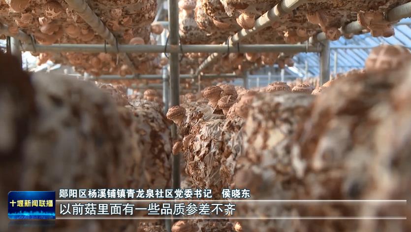 360截图20231122191755166