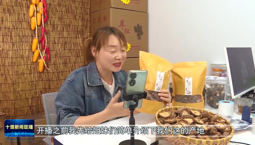 360截图20231122191828910