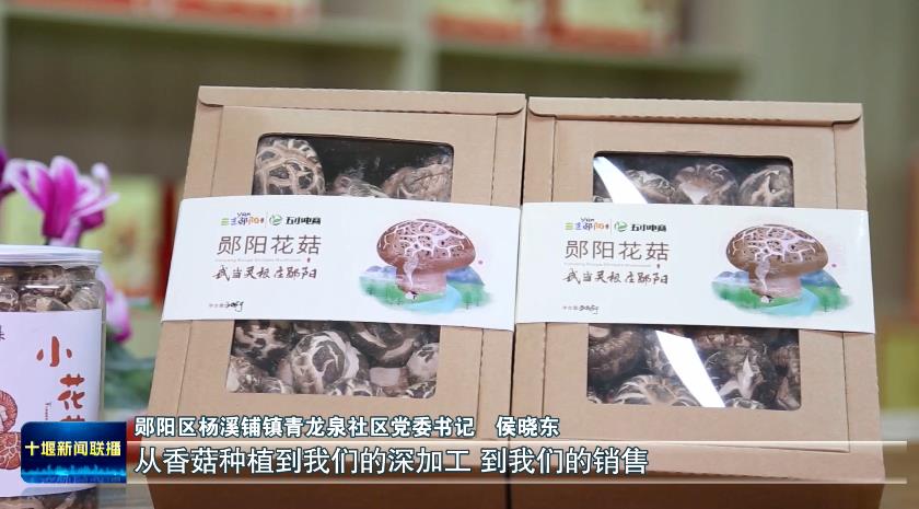 360截图20231122192854369