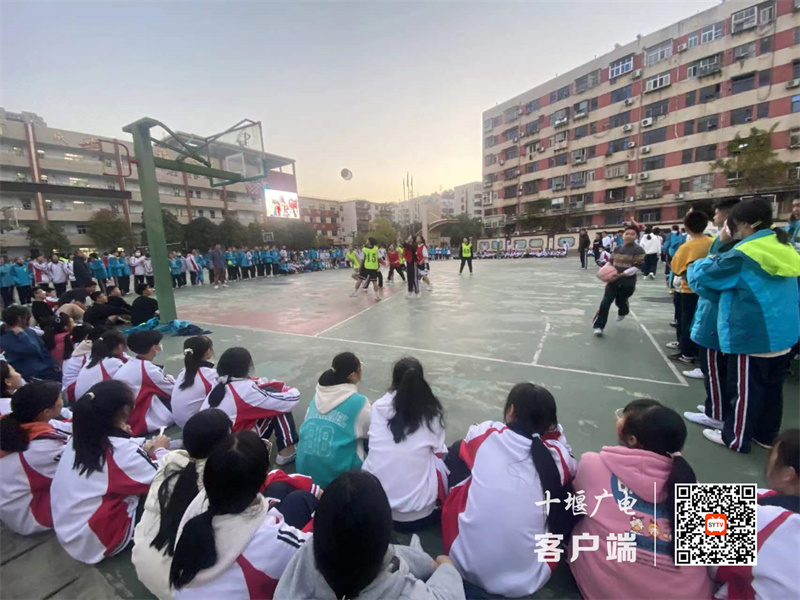 微信图片_20231123101259_副本