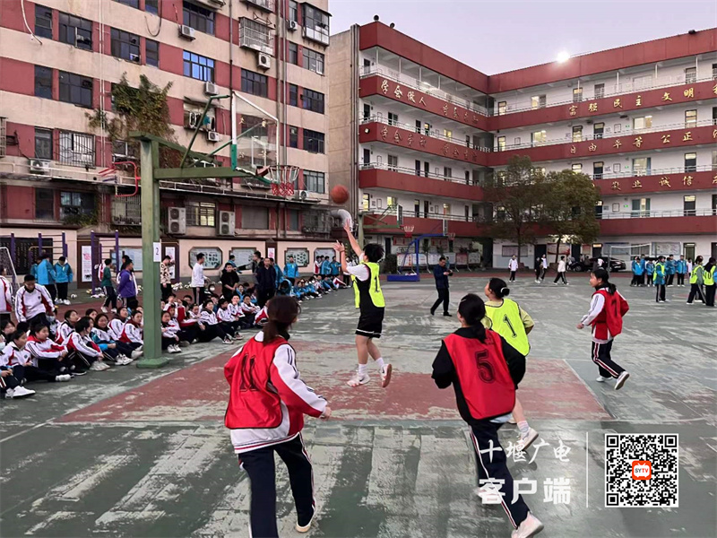 微信图片_20231123101251_副本